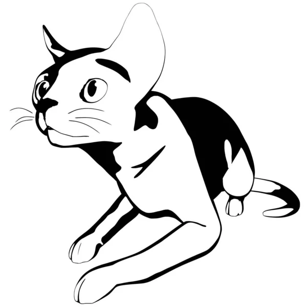 Katzenskizze Auf Weißem Hintergrund Sphynx Silhouette Vektor Haustier Illustration — Stockvektor