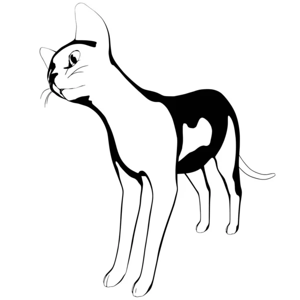 Kočičí Náčrtek Bílém Pozadí Sphynx Silueta Vektor Pet Ilustrace — Stockový vektor