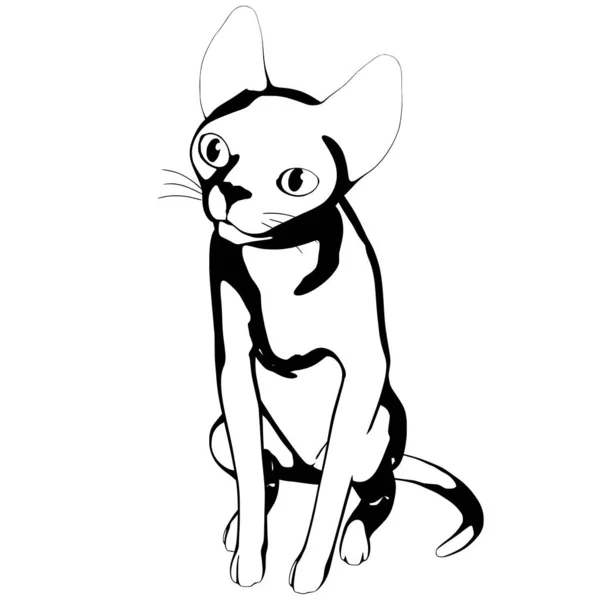 Desenho Gato Sobre Fundo Branco Sphynx Silhueta Vetor Ilustração Animal —  Vetores de Stock