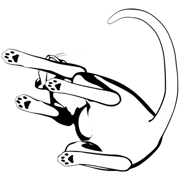 Esbozo Gato Sobre Fondo Blanco Esfinge Silueta Vector Mascota Ilustración — Vector de stock