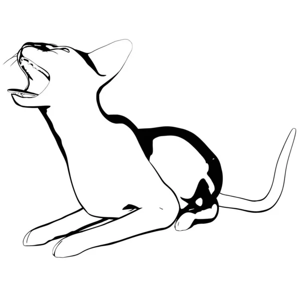Macska Vázlat Egy Fehér Háttér Szfinx Sziluett Vektor Kisállat Illusztráció — Stock Vector
