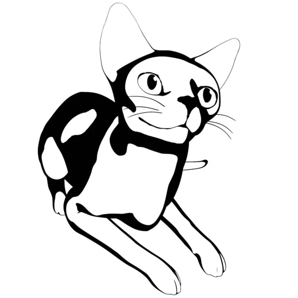 Esbozo Gato Sobre Fondo Blanco Esfinge Silueta Vector Mascota Ilustración — Vector de stock