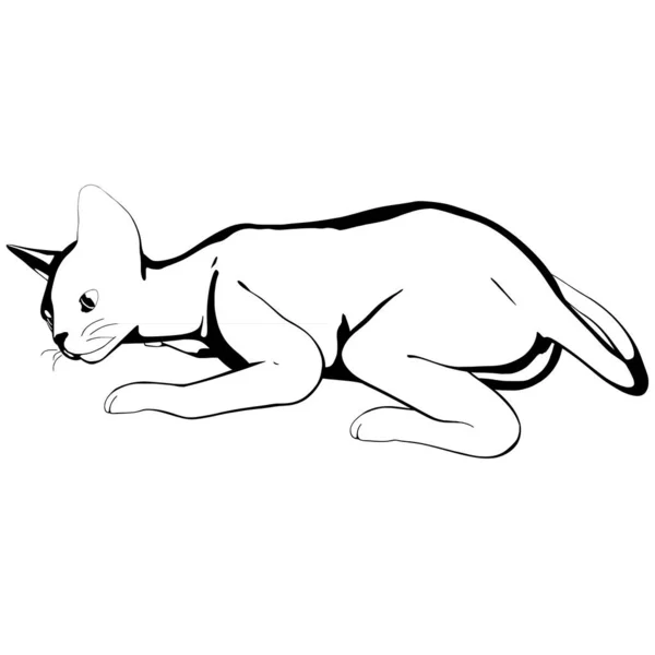 Katzenskizze Auf Weißem Hintergrund Sphynx Silhouette Vektor Haustier Illustration — Stockvektor