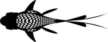 Japon balığının vektör çizimi