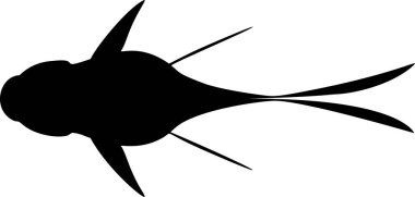 Japon balığının vektör çizimi