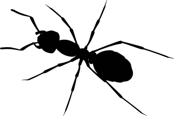 Ρεαλιστικό Διάνυσμα Μυρμηγκιών Λευκό Φόντο — Διανυσματικό Αρχείο