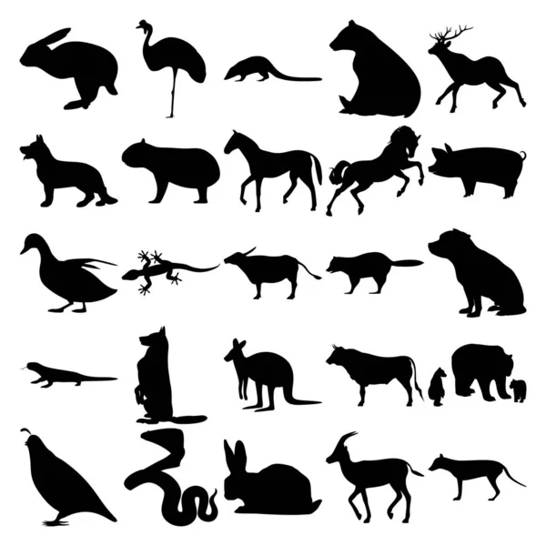 Набор Животных Кролик Серый Коронный Кран Коати Медведь Олень Собака — стоковый вектор