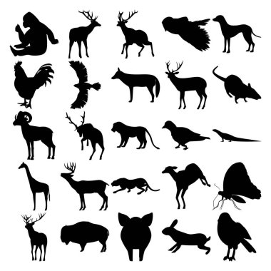 25 hayvan seti. Goril, Baykuş, Köpek, Horoz, Kara Şahin, Çakal, Fare, Koyun, Aslan, Güvercin, Kertenkele, Zürafa, Çita, Kelebek, Geyik, Bizon, Domuz, Tavşan, Serçe,.
