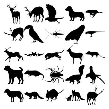 25 hayvan seti. Geyik, Kara Şahin, Dachshund, Çita, Toucan, Grasshopper, Tavuk, Papağan, Geyik, Yarasa, Çita, Antilop, Opossum, Köpek, Sıçan, Akrep, Kokarca, Güvercin, Arktik Kurdu, Rakun, Kemirgen, Tilki, Tilki.