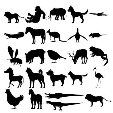 25 hayvan seti. Komodo, Goril, Fil, Köpek, Goshawk, Timsah, Zebra, Kanguru, Güvercin, Fare, Uçan Arı, Domuz, Kuş, Geyik, Kurbağa, Zebra, York, Flamingo, Tavuk, At, Timsah, Aslan.