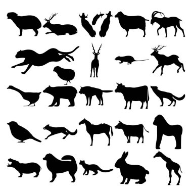 25 hayvan seti. Capybara, Geyik, Koyun, Keçi, Chick, Çita, Antilope, Kemirgenler, Geyik, Kaz, Ayı, Kurt, Tilki, Serçe, At, İnek, Goril, Hippopotam, Samoyed, Pasifik Balıkçısı, Tavşan, Zürafa.