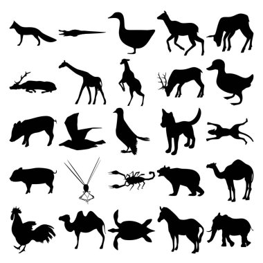 25 hayvan seti. Tilki, Timsah, Geyik, Geyik, Zürafa, Ördek, Martı, Güvercin, Köpek, Çita, Domuz, Ejderha, Akrep, Ayı, Horoz, Deve, Kaplumbağa, Zebra, Fil,.