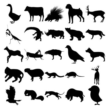 25 hayvan seti. Kaz, İnek, Kirpi, Köpek, Geyik, Mantis, Timsah, Gergedan, Ayı, Kurt, Çekirge, Dove, Pitbull, Kedi, Capybara, Fisher, Armadillo, Goshawk, Squirrel, Thylacine, Buffalo.