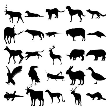 25 hayvan seti. Geyik, Çita, Cougar, Dog, Fox, Aardwolf, Koyun, Ördek, Geyik, Boğa, Tapir, Kartal, Karga, Çekirge, Tavşan, Keçi, Kedi, Gelincik.