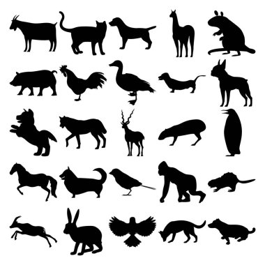 25 hayvan seti. Keçi, Kedi, Köpek, Lama, Fare, Domuz, Horoz, Kaz, Kurt, Antilope, Penguen, At, Corgi, Serçe, Goril, Kunduz, Ceylan, Tavşan, Kuş,.