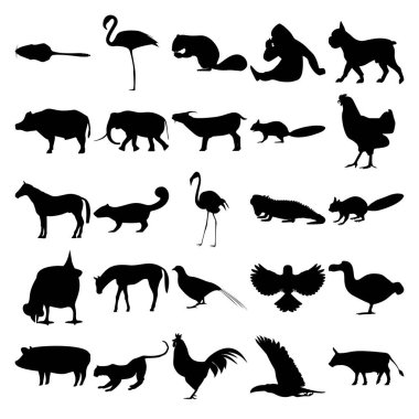 25 hayvan seti. Fare, Flamingo, Sincap, Goril, Köpek, Buffalo, Fil, Keçi, Tavuk, At, Iguana, Sülün, Kuş, Dodo, Domuz, Jaguar, Horoz, Toucan, İnek.