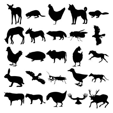 25 hayvan seti. Elk, Beaver, Chicken, Dog, Deer, Bullterrier, Racoon Dog, Housefly, Goshawk, Hedgehog, Bull, Horse, Rabbit, Praying Mantis, Duck, Thylacine, Lion, Raven, Geyik.