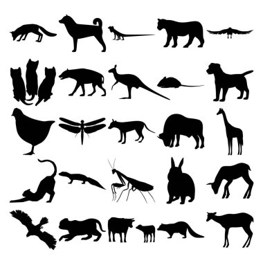 25 hayvan seti. Fox, Lizard, Lioness, Goshawk, Kitten, Hyena, Kanguru, Mouse, Dog, Chickens, DragonFly, Tazmanya Kaplanı, Buffalo, Zürafa, Kedi, Gecko, Mantis, Tavşan, Geyik, İnek, Rakun, Geyik,.