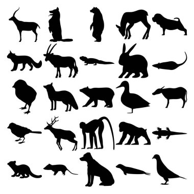 25 hayvan seti. Ceylan, Fawn, SharPei, Antilop, Tavşan, Fare, Tavuk, Tilki, Ayı, Ördek, Bufalo, Serçe, Geyik, Maymun, Kertenkele, Balıkçı, Opossum, Köpek, Fok, Güvercin,.
