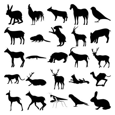 25 hayvan seti. Tavşan, Horoz, İnek, At, Serçe, Keçi, Kunduz, Gazelle, Domuz, Timsah, Gergedan, Antilop, Çita, Geyik, Tilki, Deve, Doe, Geyik, Mantis, Papağan, Tavşan.