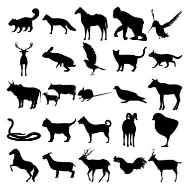 25 hayvan seti. Sincap, Tilki, Goril, Colibri, Tavşan, Kara Şahin, Kedi, Boğa, İnek, Fare, Güvercin, Geyik, Kobra Yılanı, Kedi, Köpek, Tavuk, At, Keçi, Horoz, Geyik.