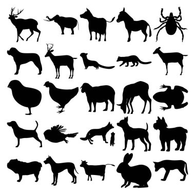 25 hayvan seti. Fil, Eşek, Mite, Marten, Fisher, Tavuk, Koyun, Geyik, Kurbağa, Baykuş, Tilki Ailesi, Chihuahua, Köpekler, İnek, Tavşan, Kurt.