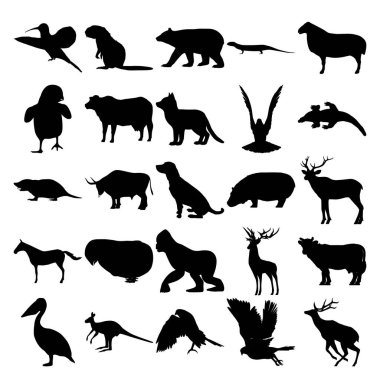 25 hayvan seti. Colibri, Beaver, Bear, Lizard, Sheep, Fox, Crow, Komodo Dragon, Mole, Bull, Dog, Hippo, Geyik, Zebra, Chick, Gorilla, Cow, Pelikan, Kanguru, Goshawk, Geyik.