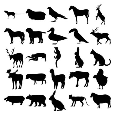25 hayvan seti. Rat, Crow, Horse, Dog, Ducks, Toucan, Geyik, Sloth, Pacific Fisher, Cat, Lama, Geyik, Chick, Hippopotamus, Bear, Rabbit, Thylacine, Koyun.