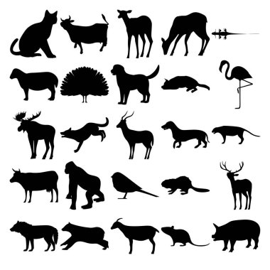 25 hayvan seti. Kedi, Kertenkele, Koyun, Tavuskuşu, Flamingo, Geyik, Köpek, İmpala Antilobu, Dachshund, İnek, Goril, Kuş, Geyik, Kurt, Ayı, Keçi, Fare, Domuz.