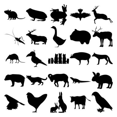 25 hayvan seti. Fare, Kurbağa, Güvercin, Geyik, Grasshopper, Geyik, Geyik, Ren geyiği, Shrew, Kuş, Kedi Ailesi, Yaban domuzu, Tilki, Panda, Köpek, Ram, Komodo Ejderhası, Tavşan, Goshawk, Tavuk, Hare Ailesi, İnek, Papağan.
