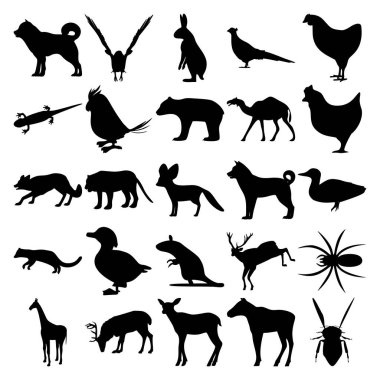 25 hayvan seti. Goshawk, Hare, Sülün, Semender, Papağan, Ayı, Deve, Tavuk, Kaplan, Fennec Fox, Köpek, Pasifik Fisher, Ördek, Fare, Geyik, Örümcek, Zürafa, Ren geyiği, Geyik, Böcek,.