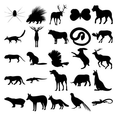 25 hayvan seti. Örümcek, Kirpi, Kelebek, Numbat, Geyik, Yılan, Geyik, Kaplan, Kunduz, Baykuş, Tavşan, Jaguar, Gecko, Köpek, Boğa, Kanguru, Kutup Ayısı, Çakal, Tilki, Sülün, Kertenkele.