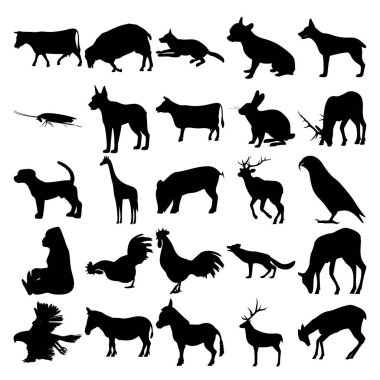 25 hayvan seti. Koyun, Hamamböceği, İnek, Tavşan, Köpek, Zürafa, Domuz, Papağan, Goril, Horoz, Tilki, Kara Şahin, Zebra, Eşek, Geyik, Geyik.