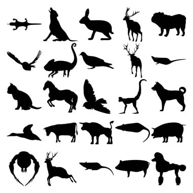 25 hayvan seti. Semender, Kurt, Tavşan, Bukalemun, Güvercin, Kedi, At, Kuş, Maymun, Köpek, Ördek, İnek, Boğa, Baykuş, Geyik, Fare, Domuz, Kaniş.