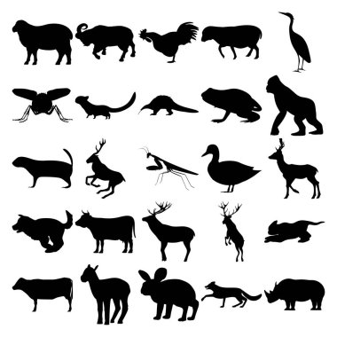 25 hayvan seti. Ram, Rooster, Stork, Housefly, Marten, Pangolin, Anuran, Gorilla, Prairie dog, Mantis, Duck, Deer, Kitten, Cow, Little Sheep, Rabbit, Fox, Rhino.