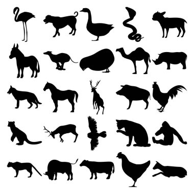 25 hayvan seti. Flamingo, kaz, yılan, chihuahua, eşek, kamçı, deve, Rhin, köpek, at, domuz, horoz, Pasifik Balıkçısı, baykuş, goril, kedi, bufalo, inek, tavuk, geyik, geyik.