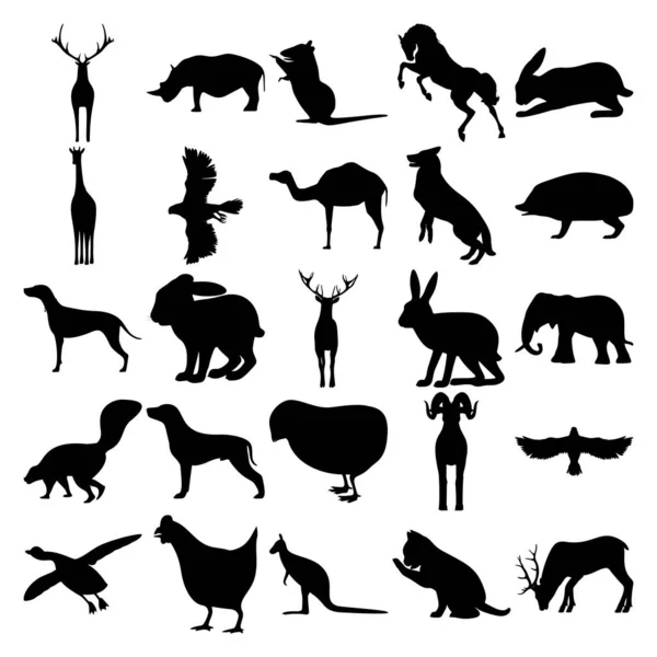 Набор Животных Олень Носорог Крыса Лошадь Кролик Жираф Гошак Верблюд — стоковый вектор
