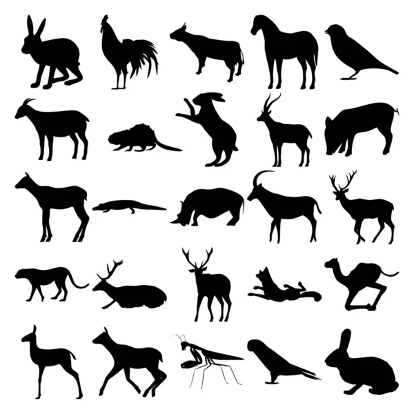 Set Animals Hare Cock Cow Horse Sparrow Goat Beaver Gazelle — Stock Vector