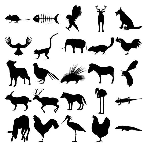 25只动物 花栗鼠 火烈鸟 色拉曼德 科莫多 — 图库矢量图片