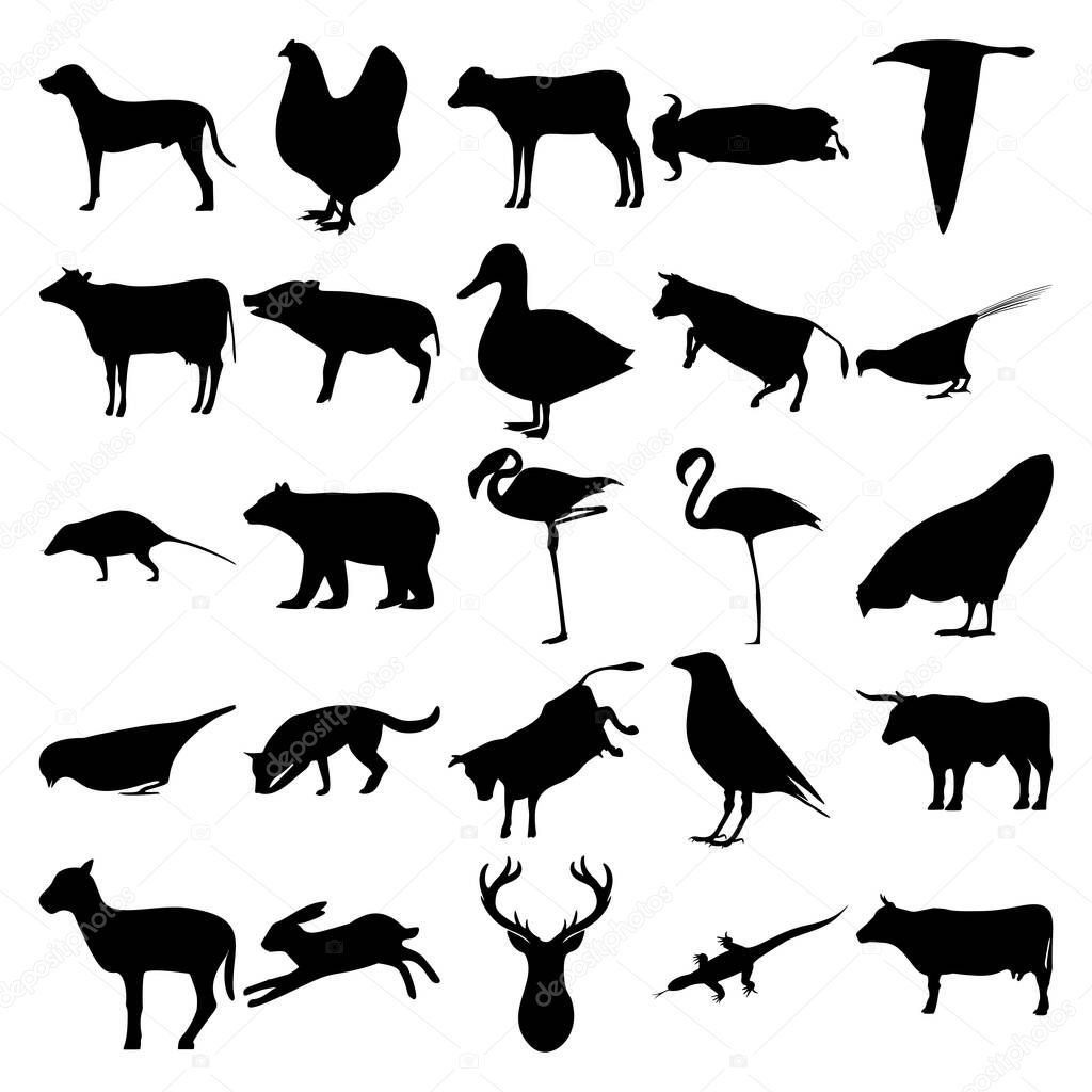 Set of 25 animals. Dalmatian, Calf, Buffalo, Albatross, Pig, Duck, Pheasant, Opossum, Bear, Flamingos, Chicken, Sparrow, Dog, Crow, Bull, Little Goat, Rabbit, Deer horns, Komodo, Cow.