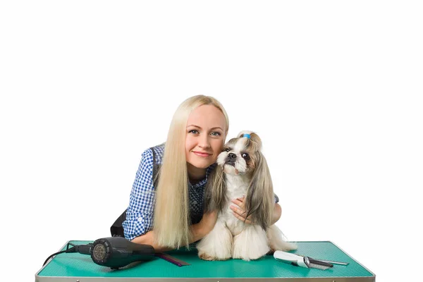 Woman groomer with funny and cute shih-tzu dog — Stock Photo, Image