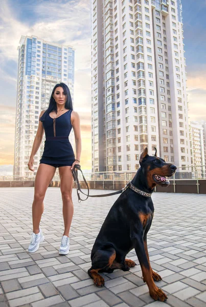 Fitness menina andando com enorme cão Doberman — Fotografia de Stock