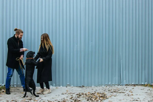 Söt ung hipster par ha kul med sin hund — Stockfoto