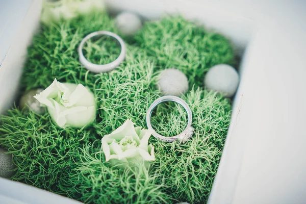 モスの結婚指輪 — ストック写真