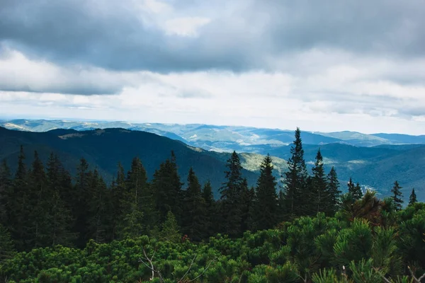 美丽的森林风景在喀尔巴阡山, 乌克兰 — 图库照片