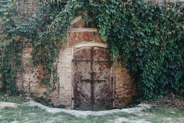 Sarmaşıklı eski ahşap kapı