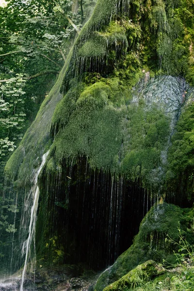 Водоспад і зелений мох пейзаж — стокове фото