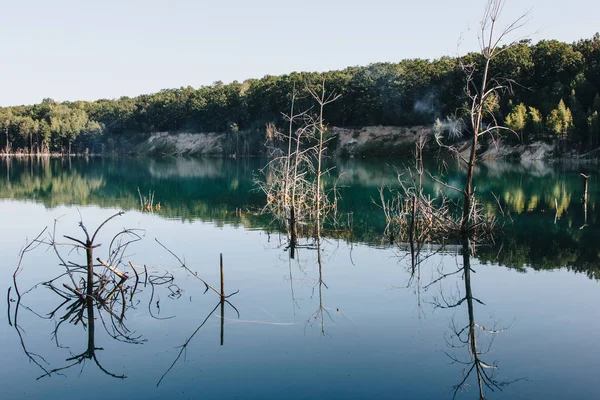 Reflet Forestier Dans Lac — Photo