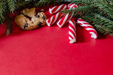 Kırmızı Noel arkaplanı köknar ağacı, şeker kamışı ve kurabiyeler.