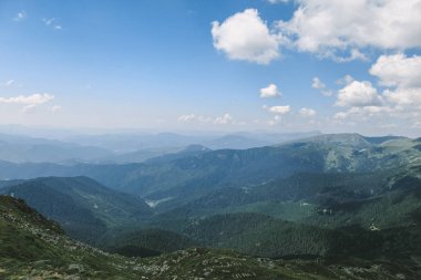 Karpatlar 'daki güzel orman manzarası